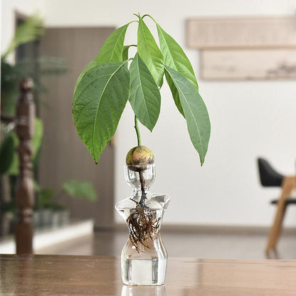 Silhouette Glass Propagation Vase