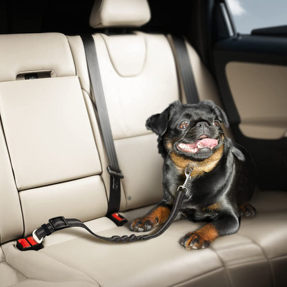 🐱🐶 Pet Seatbelts – Adjustable Safety Leads