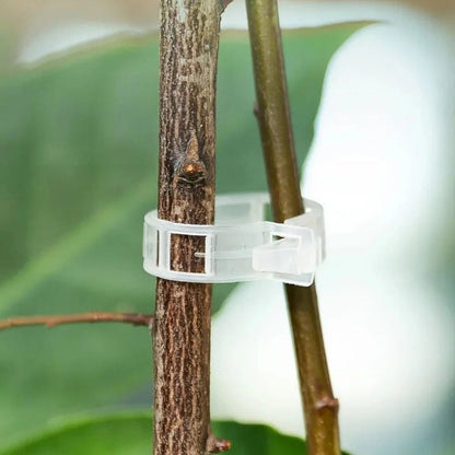 🥬Reusable Plant Support Clips (100 clips)