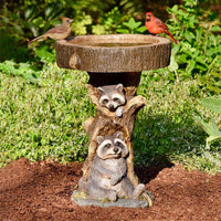 Small raccoon