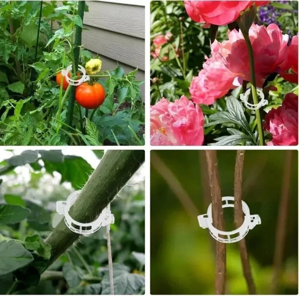 🥬Reusable Plant Support Clips (100 clips)