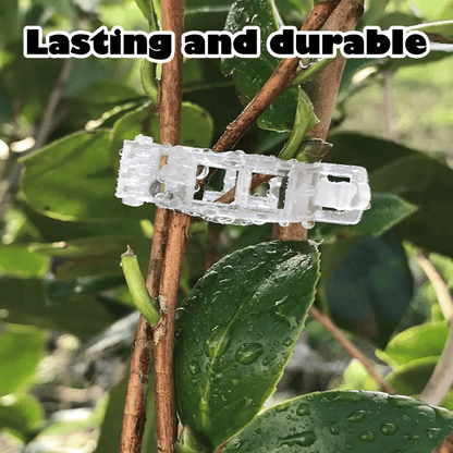 🥬Reusable Plant Support Clips (100 clips)