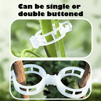 🥬Reusable Plant Support Clips (100 clips)