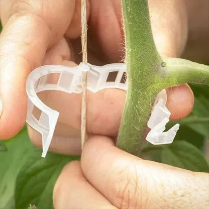 🥬Reusable Plant Support Clips (100 clips)